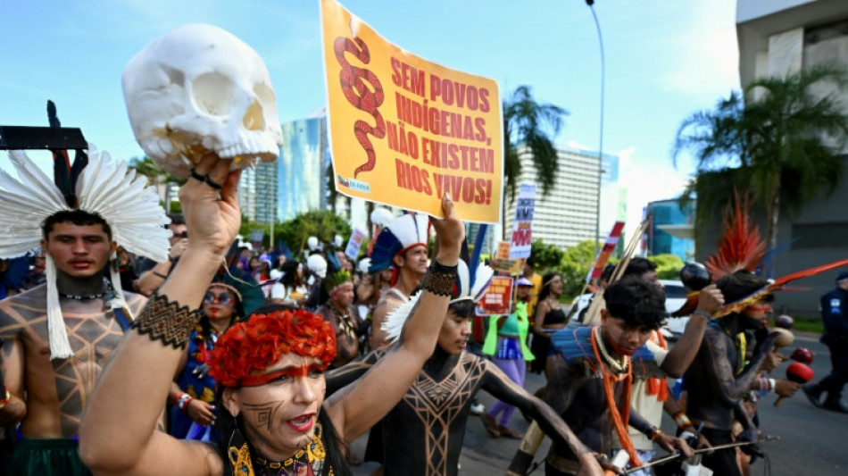 Ind&iacute;genas reclaman una mayor protecci&oacute;n de sus tierras en una marcha en Brasilia