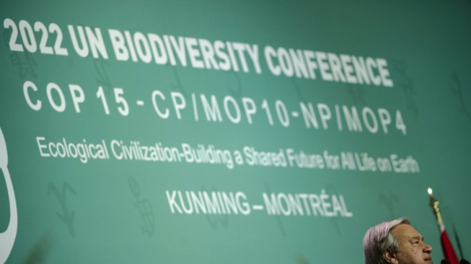 Comienza la COP15, la "&uacute;ltima oportunidad" para salvar la naturaleza