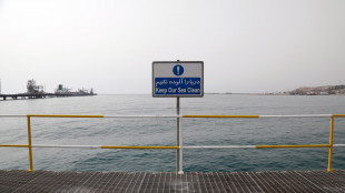 Media Iran, 'terminal petrolifero di Kharg &egrave; pienamente operativo'