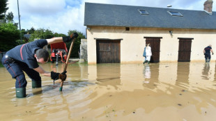 Kirk: tendance g&eacute;n&eacute;rale &agrave; la d&eacute;crue, plus aucun d&eacute;partement en vigilance rouge
