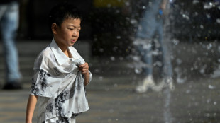 La temperatura global rompe un r&eacute;cord por segundo d&iacute;a consecutivo, seg&uacute;n datos preliminares