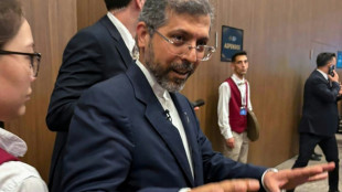 No hay fecha fijada para pr&oacute;xima ronda de negociaciones con EEUU, dice vicecanciller iran&iacute;