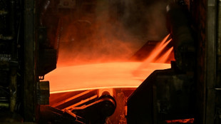 Vor Stahlgipfel im Kanzleramt: Reiche k&uuml;ndigt Industriestrompreis ab 1. Januar an