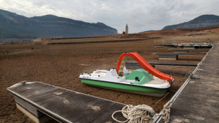 Espagne: la Catalogne scrute le ciel apr&egrave;s trois ans de s&eacute;cheresse