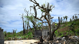 Les d&eacute;put&eacute;s planchent sur le projet du gouvernement pour "refonder" Mayotte 
