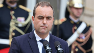 Lecornu re&ccedil;oit le PS et le RN, clefs de sa survie 