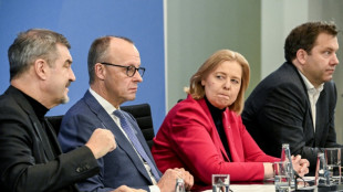 Merz: EU-Kommission hat Genehmigung f&uuml;r Industriestrompreis "in Aussicht gestellt"