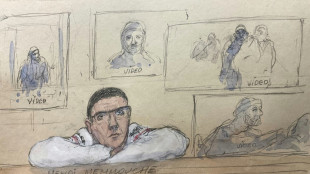 Au proc&egrave;s Nemmouche, la d&eacute;fense d'un "tortionnaire id&eacute;al, trop beau pour &ecirc;tre vrai"