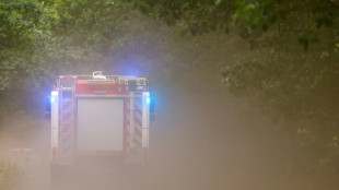 Ort in Nordrhein-Westfalen wegen Waldbrands evakuiert - Feuer breitet sich aus