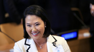 Col&ocirc;mbia e Peru agradecem na ONU cria&ccedil;&atilde;o do Escudo das Am&eacute;ricas