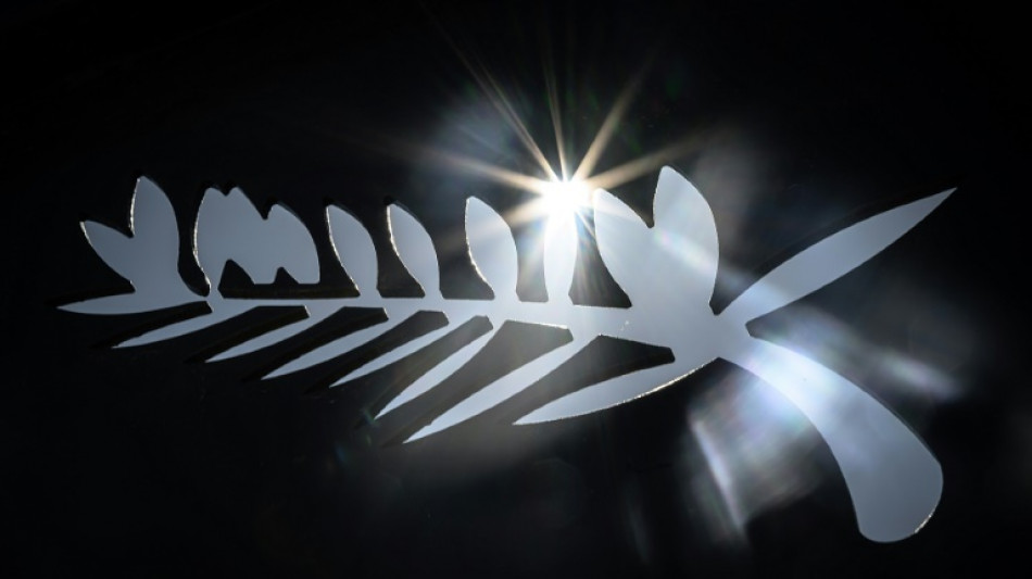 Las pel&iacute;culas en competici&oacute;n en el 76&ordm; Festival de cine de Cannes