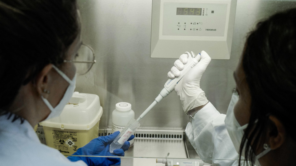 Tumori, scoperto ruolo proteina in sopravvivenza cellule malate