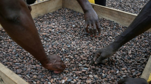 Chocolate prices high before Christmas despite cocoa fall