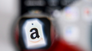 Amazon scheitert mit Klage gegen strengere Regeln als sehr große Internetplattform