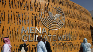 El mundo no puede "desconectar" el sistema energ&eacute;tico actual, seg&uacute;n presidente de COP28