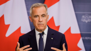 M&eacute;xico buscar&aacute; fortalecer el comercio y las inversiones con Canad&aacute; durante la visita de Carney