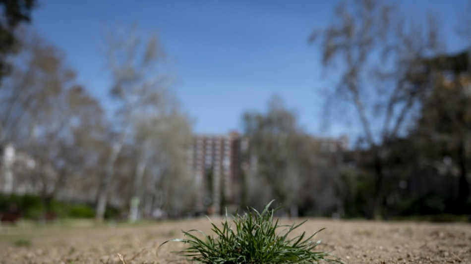 El primer trimestre de 2024 podr&iacute;a ser el m&aacute;s c&aacute;lido jam&aacute;s registrado en Espa&ntilde;a