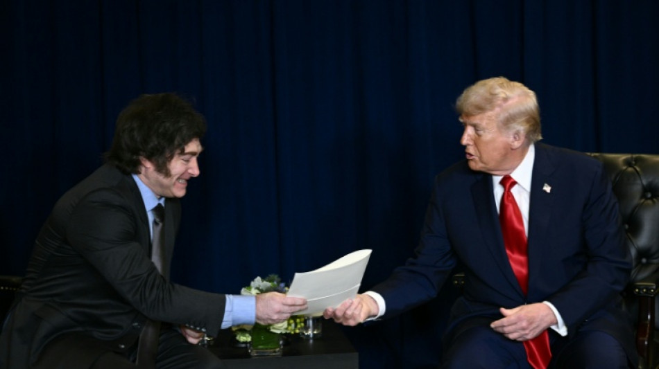 Trump dice al reunirse con Milei que no cree que Argentina necesite "un rescate"