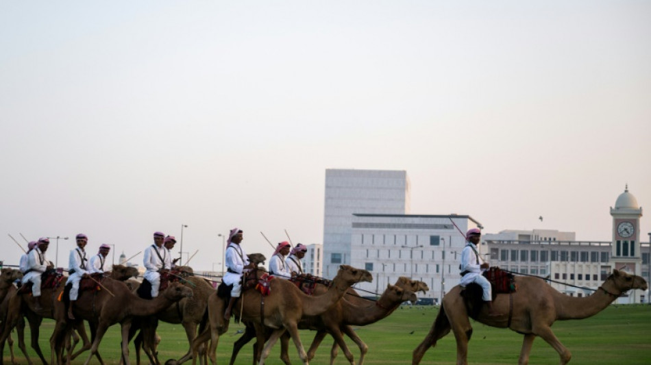 Camellos y camisetas; Catar espera los beneficios tur&iacute;sticos del Mundial-2022