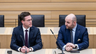 Baden-W&uuml;rttemberg: AfD bietet sich CDU als Koalitionspartner an