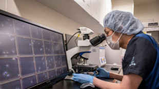 Brit&acirc;nicos concebidos com doador de esperma ou &oacute;vulo poder&atilde;o conhecer sua identidade aos 18 anos