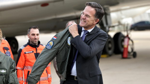 Rutte, la guerra potrebbe finire entro il 2025