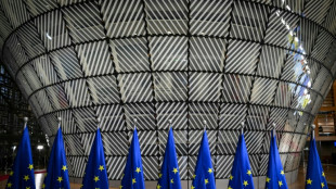 Climat: divis&eacute;e, l'UE essaye de ne pas arriver les mains vides &agrave; la COP de B&eacute;lem