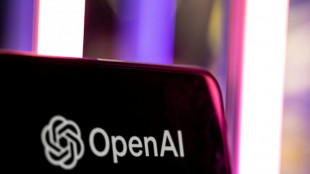 US judge orders Saudi engineer held in OpenAI case