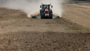 Cadmium: la d&eacute;pollution des sols agricoles n'est "pas pour demain"