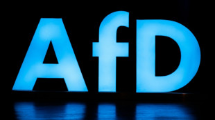 AfD darf von bayerischem Verfassungsschutz beobachtet werden 