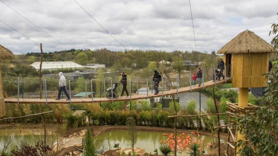 Le zoo de Beauval inaugure une voli&egrave;re pr&eacute;sent&eacute;e comme la plus grande d'Europe