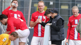 3. Liga: TSV Havelse bekommt Startplatz der L&ouml;wen