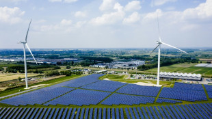 Eolien et solaire ont fourni 12% de l&#039;&eacute;lectricit&eacute; mondiale en 2022, un record dans l&#039;ombre du charbon