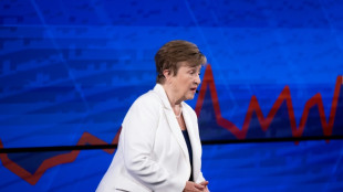 Aunque resistente, la econom&iacute;a mundial multiplica las se&ntilde;ales de alerta, advierte la jefa del FMI