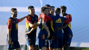 Una nueva Roja una d&eacute;cada despu&eacute;s de Sud&aacute;frica