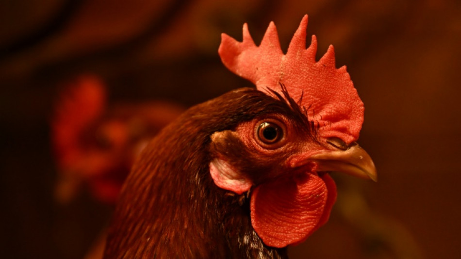 La inflaci&oacute;n se modera al 2,3% anual en abril en EEUU