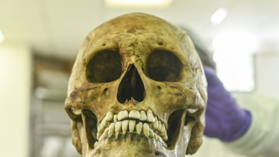 Identit&auml;t von in Rheinland-Pfalz gefundenem Sch&auml;del aufgekl&auml;rt