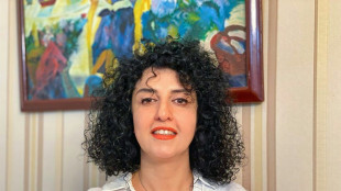 La prix Nobel Narges Mohammadi arr&ecirc;t&eacute;e en Iran