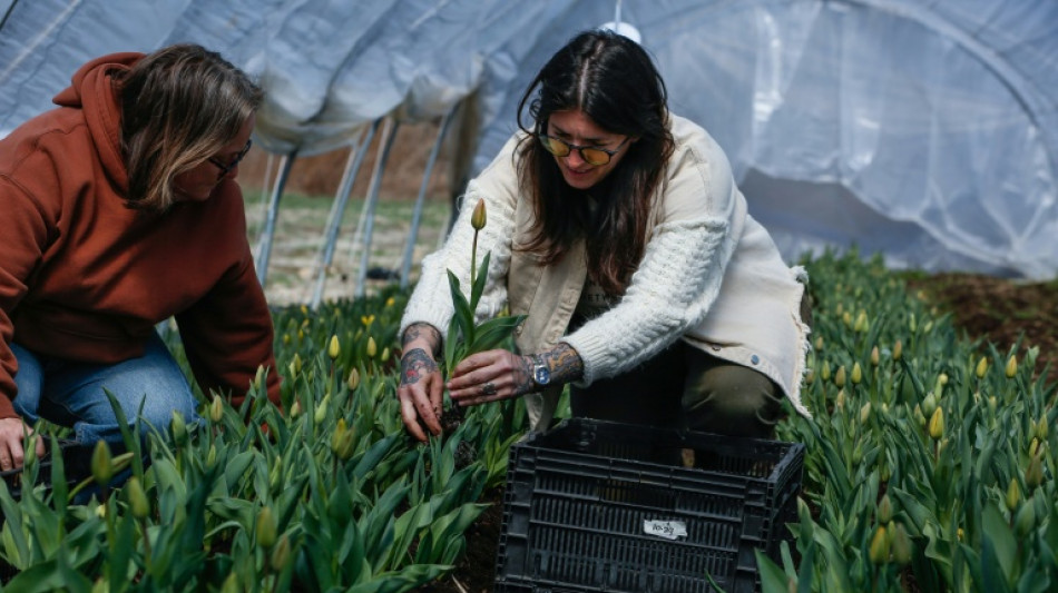 Small US farm copes with fuel hikes from Mideast war