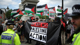 Londres va interdire le groupe Palestine Action en vertu de sa loi antiterroriste