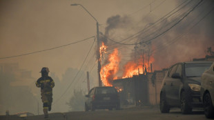 Mindestens 15 Tote bei Waldbr&auml;nden in Chile - 50.000 Menschen m&uuml;ssen fliehen