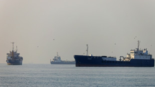 Energy firms brace for 'new era' despite Hormuz deal