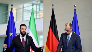 Berlin et Damas travaillent &agrave; un rapatriement massif des r&eacute;fugi&eacute;s syriens, selon Merz