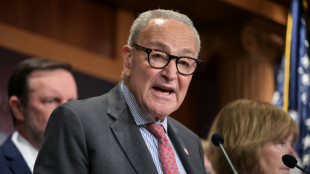 F&uuml;hrender US-Demokrat Schumer sieht die USA auf "Weg zur Diktatur"
