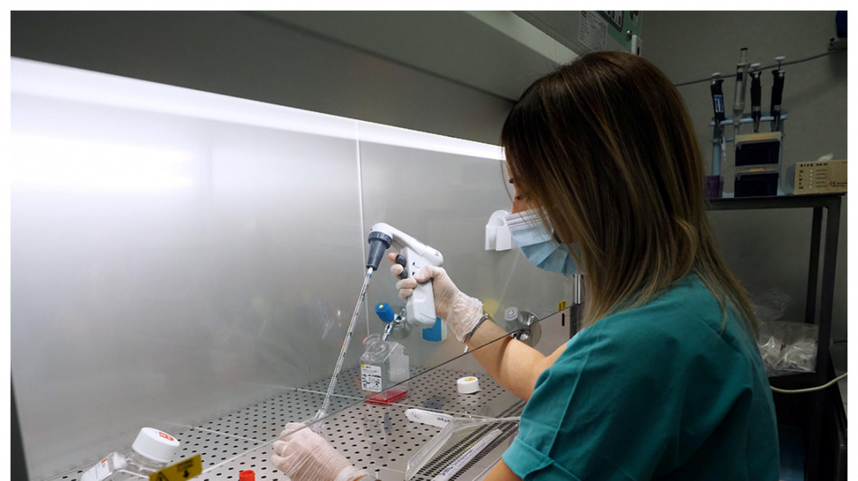 Il 'sexoma' pu&ograve; svelare i responsabili di violenza sessuale