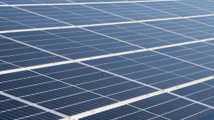 Studio, Fondazioni bancarie consolidano investimenti Esg