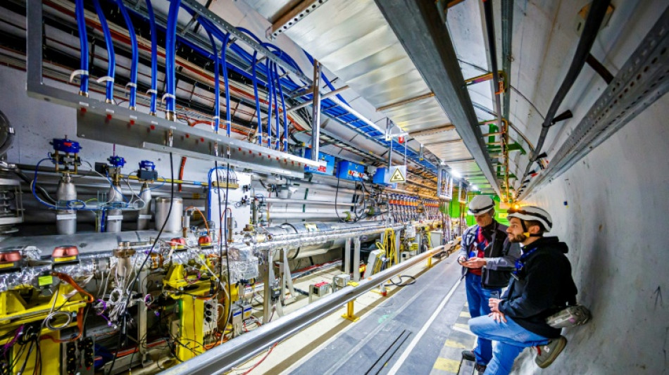 New particle discovered by Large Hadron Collider