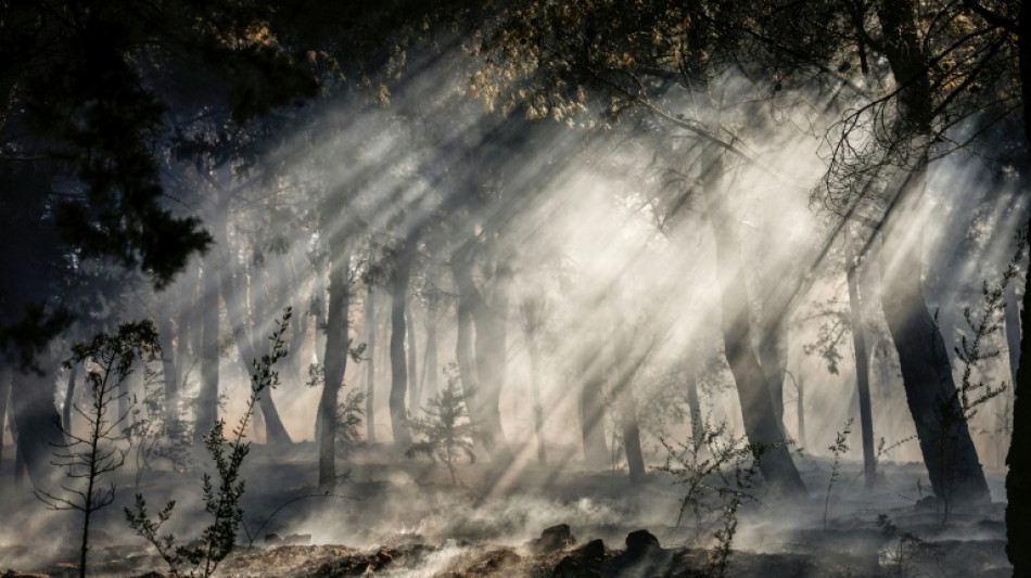 Grecia declara el estado de emergencia en la isla de Qu&iacute;os por los incendios
