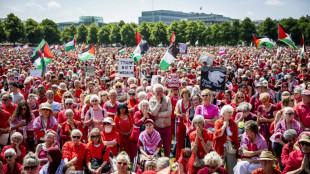 Tens of thousands rally in Dutch protest for Gaza