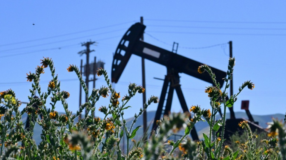 Oil plunges, stocks rally as Trump says Iran war over 'very soon'